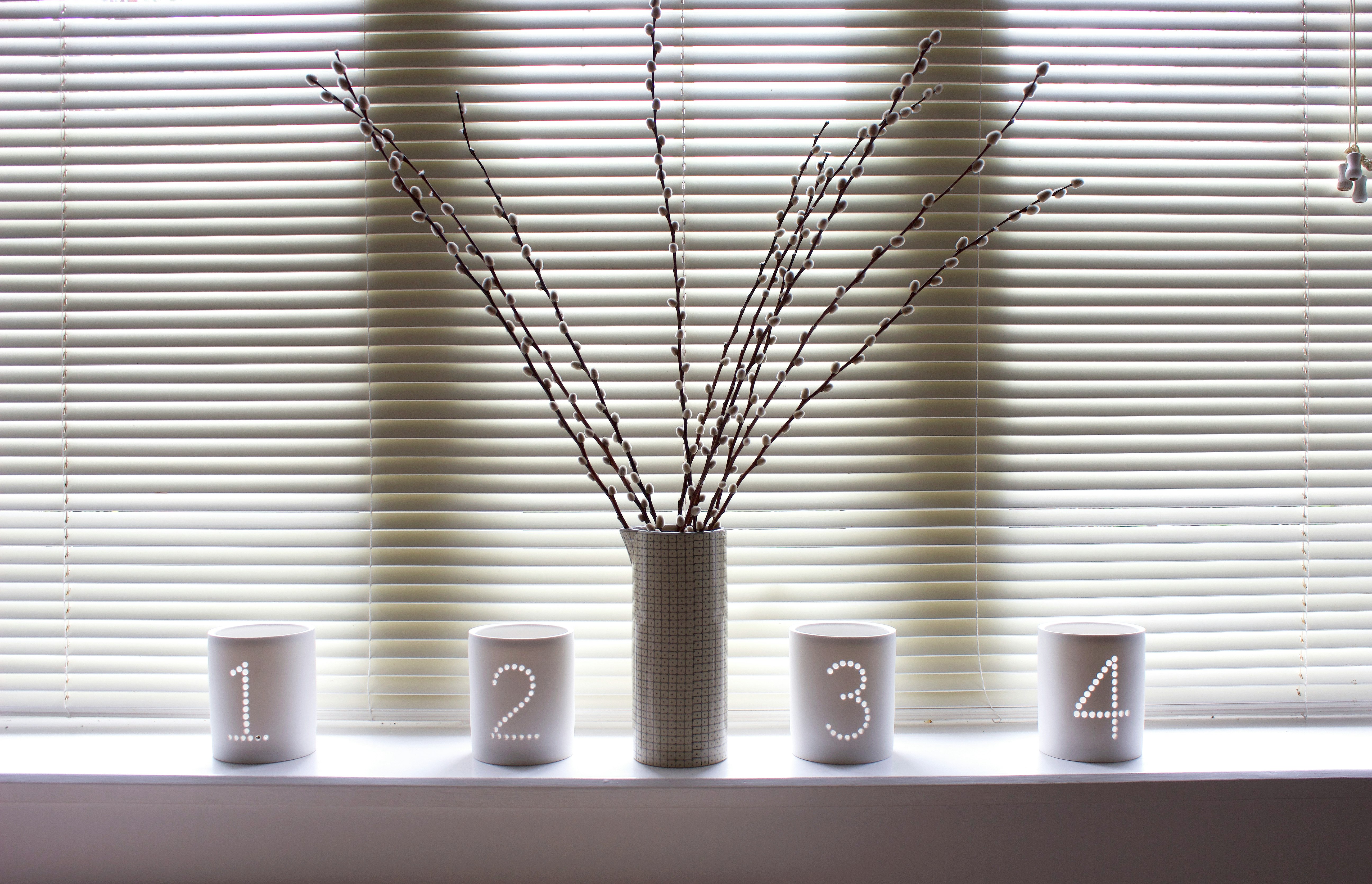 gray scale photo of plant in white ceramic pot